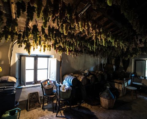 A TRADITIONAL HOME WINERY
